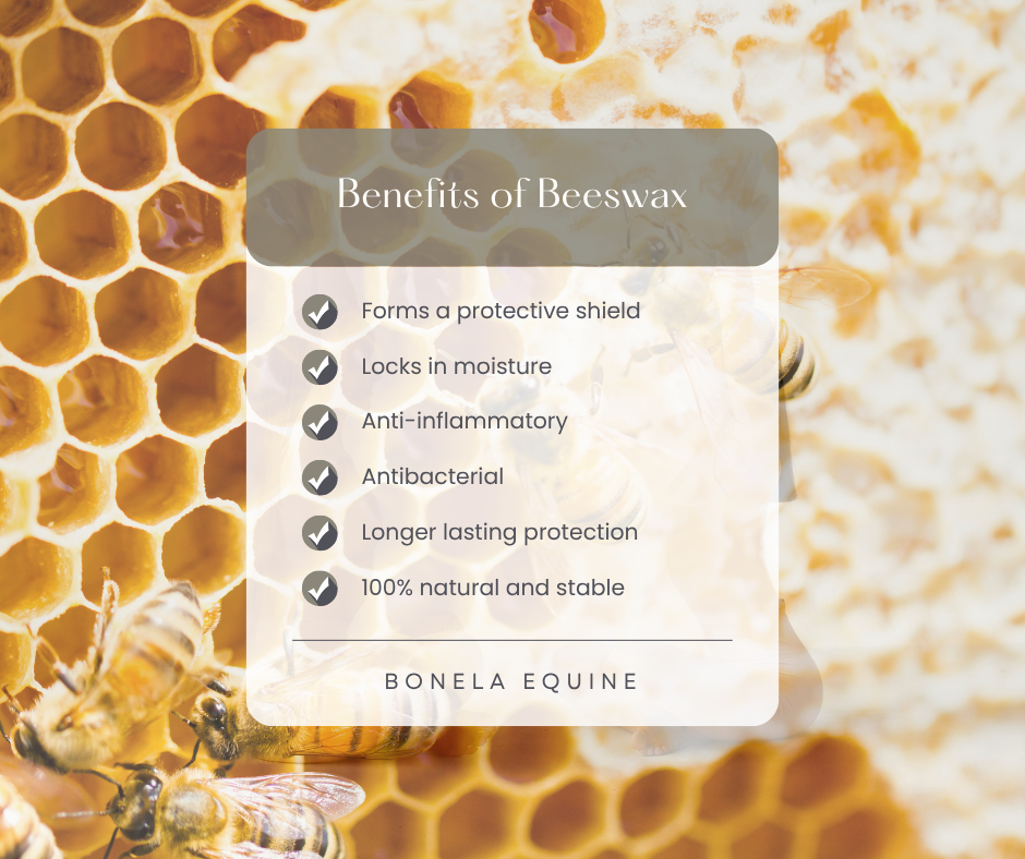 Why We Use Beeswax in Our Balms — Nature’s Protective Power