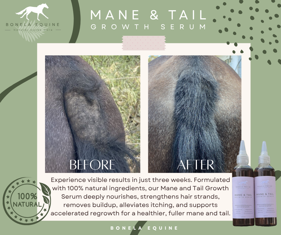 Discover the Power of Nature: How Our Mane and Tail Growth Serum Works Wonders