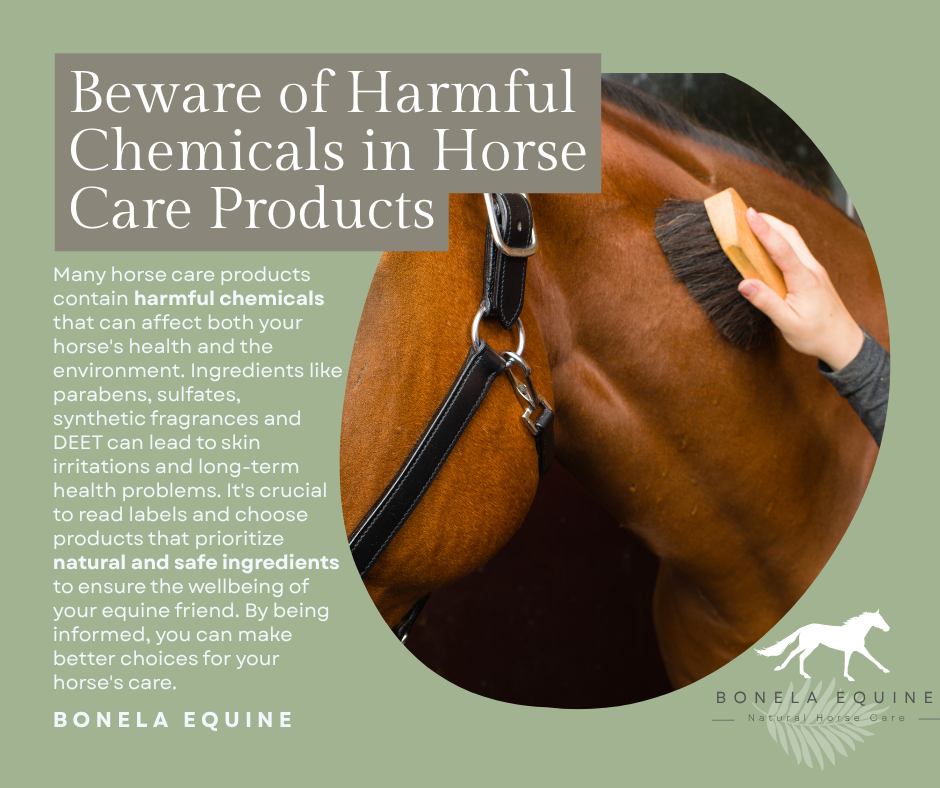 What’s Really in That Bottle? The Hidden Harmful Chemicals in Horse Products