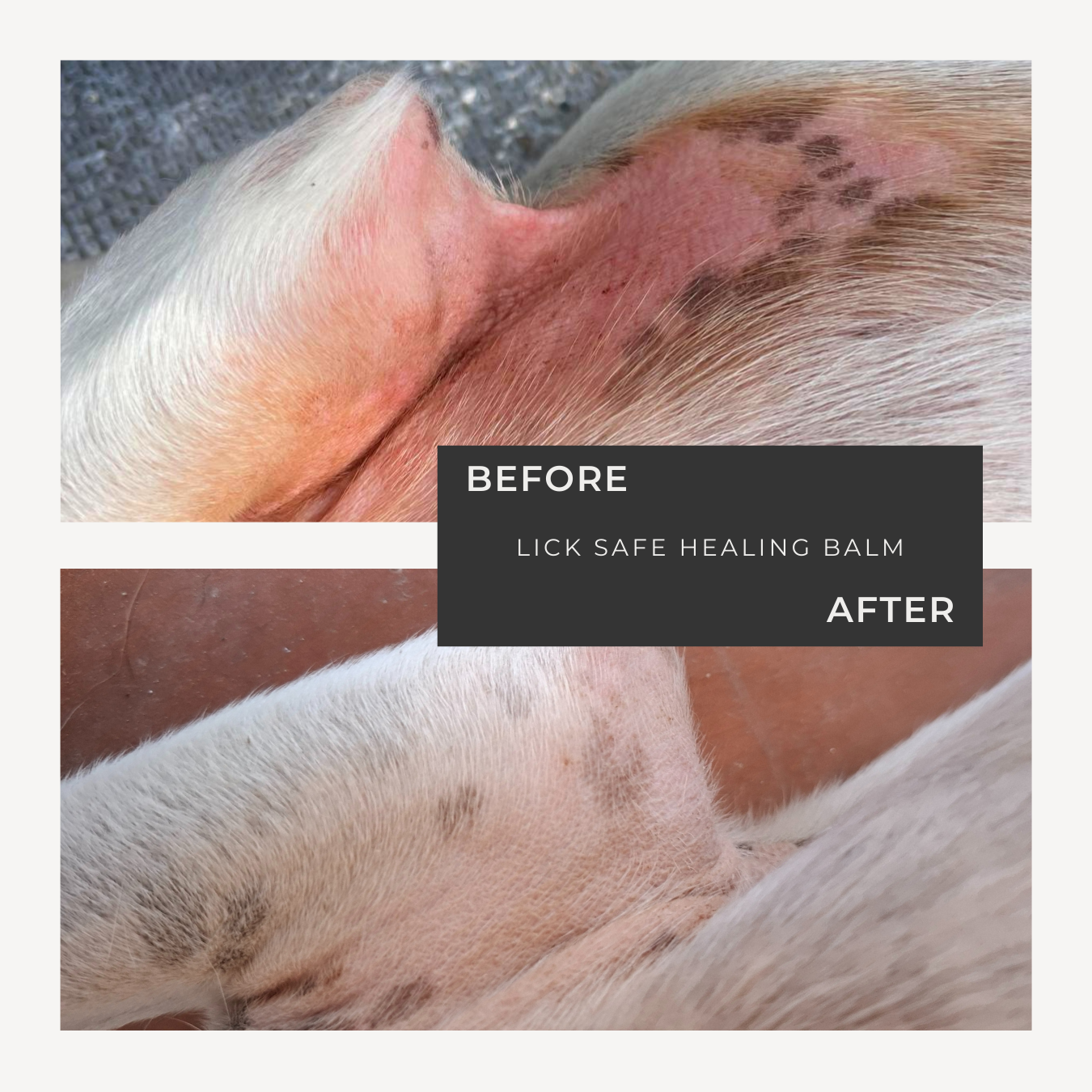 LICK SAFE HEALING BALM