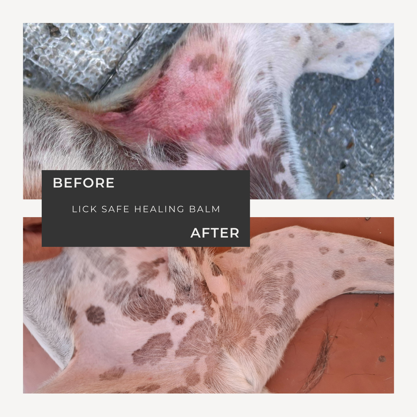 LICK SAFE HEALING BALM