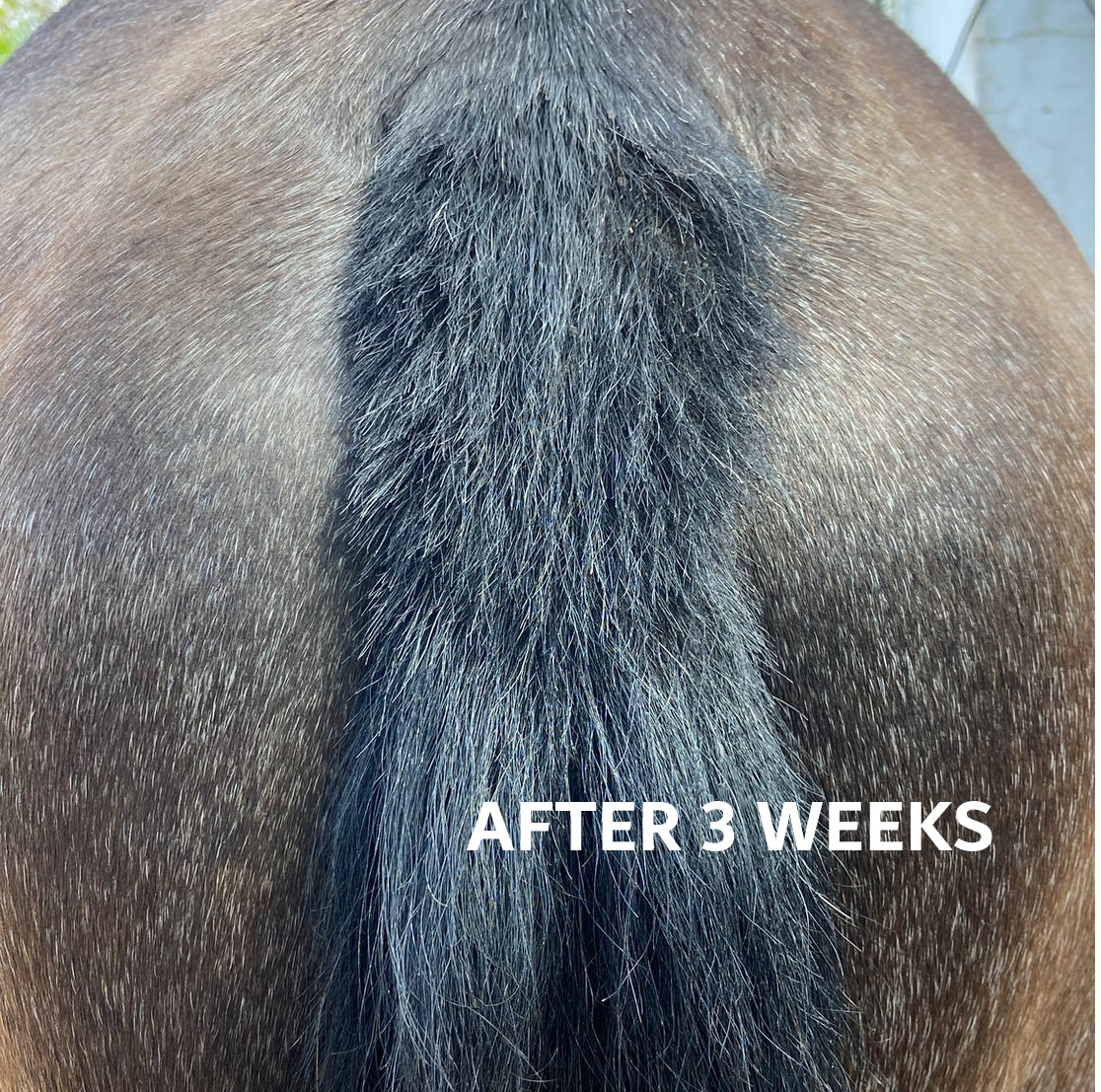 MANE & TAIL GROWTH SERUM