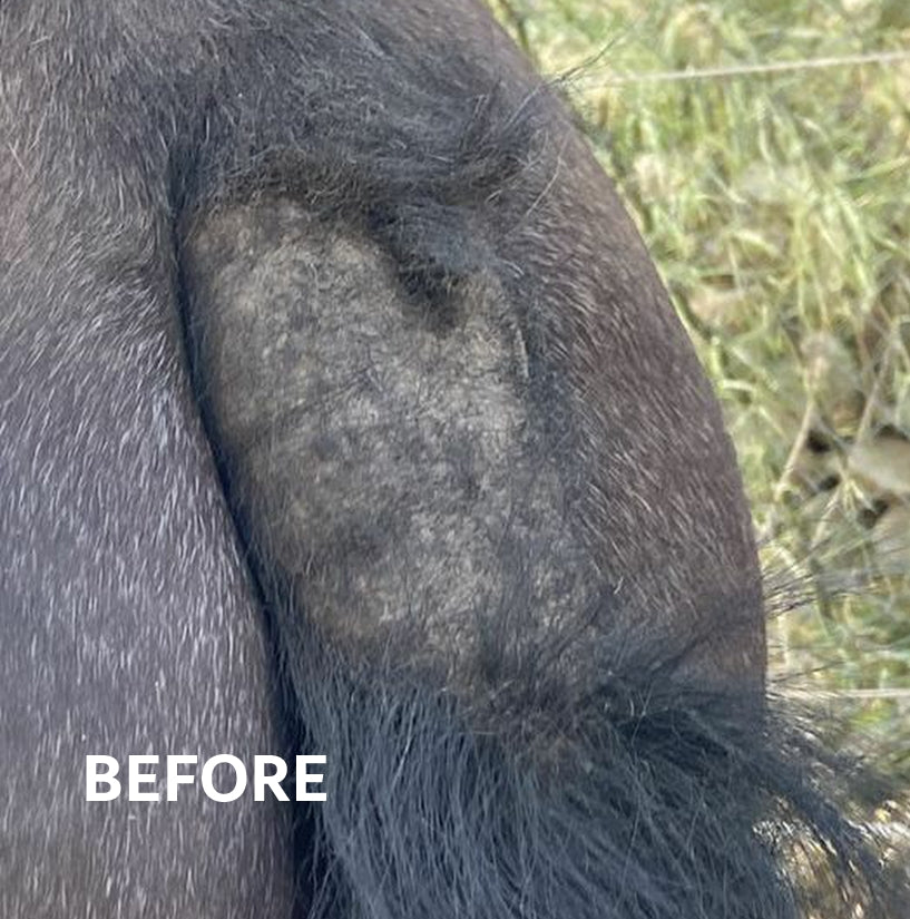 MANE & TAIL GROWTH SERUM