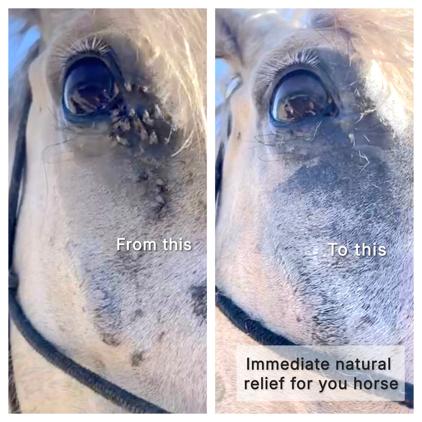 BÁLSAMO DE VERANO FLY AWAY