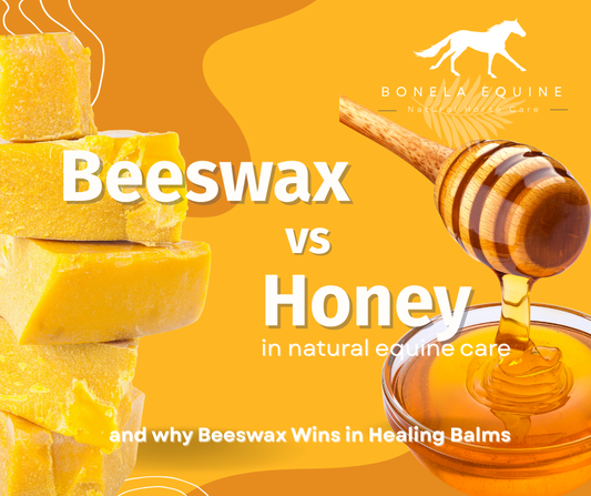 Why Choose Bonela Equine’s Healing Balm Over Just Honey?