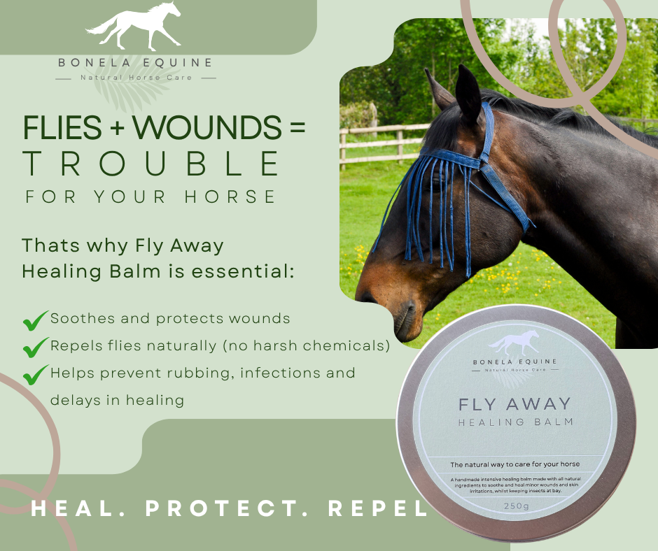 Why Keeping Flies Out of Wounds Is Essential for Equine Healing — And How Fly Away Healing Balm Helps