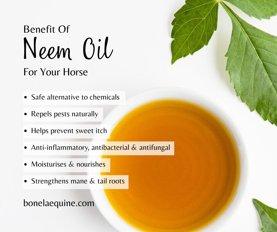 Neem Oil: Nature’s Powerhouse for Horses