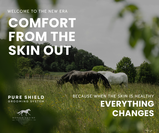 The New Era of Grooming: Why a Harmonised Approach Changes Everything