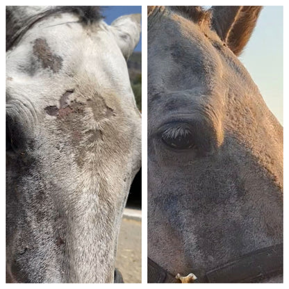 FLY AWAY HEALING BALM